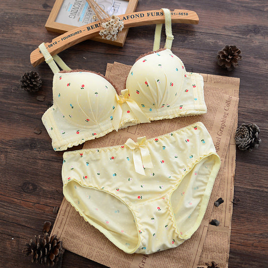 Combo Of 3 Set Bra & panties Set imported